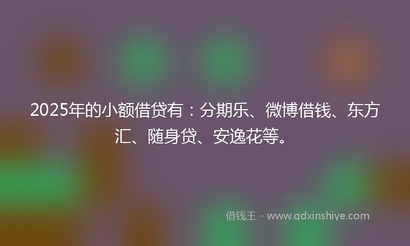 2025年的小额借贷有：分期乐、微博借钱、东方汇、随身贷、安逸花等。