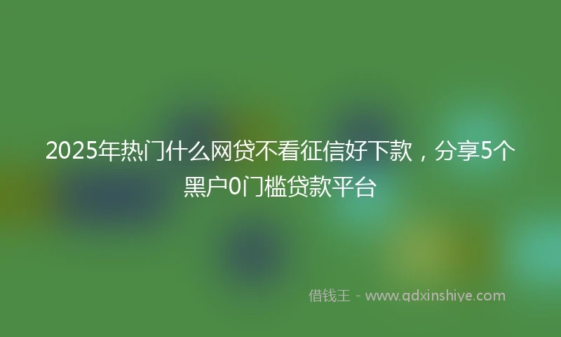 2025年热门什么网贷不看征信好下款，分享5个黑户0门槛贷款平台