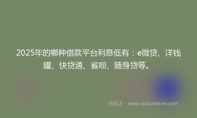 2025年的哪种借款平台利息低有：e微贷、洋钱罐、快贷通、省呗、随身贷等。