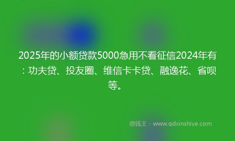 2025年的小额贷款5000急用不看征信2024年有：功夫贷、投友圈、维信卡卡贷、融逸花、省呗等。