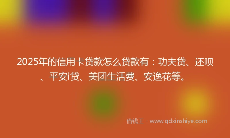 2025年的信用卡贷款怎么贷款有：功夫贷、还呗、平安i贷、美团生活费、安逸花等。