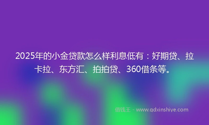 2025年的小金贷款怎么样利息低有：好期贷、拉卡拉、东方汇、拍拍贷、360借条等。