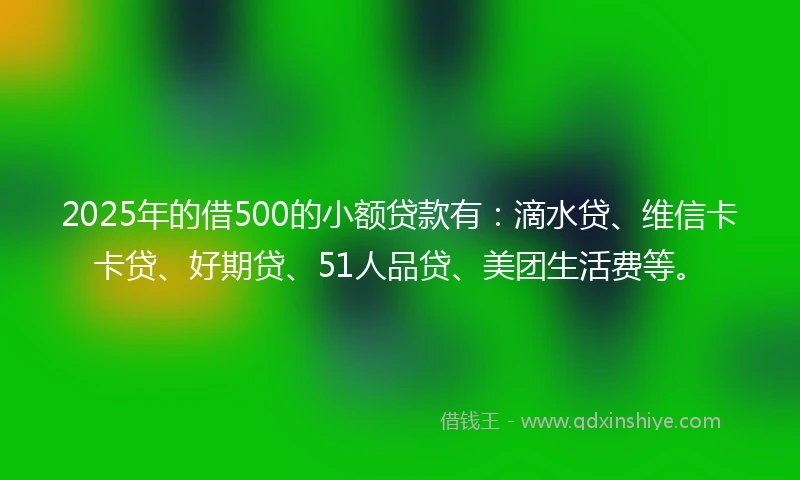 2025年的借500的小额贷款有：滴水贷、维信卡卡贷、好期贷、51人品贷、美团生活费等。