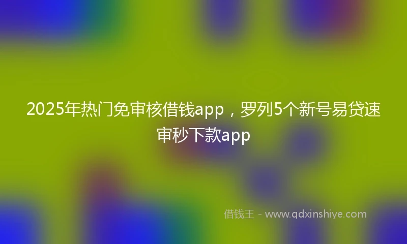 2025年热门免审核借钱app，罗列5个新号易贷速审秒下款app