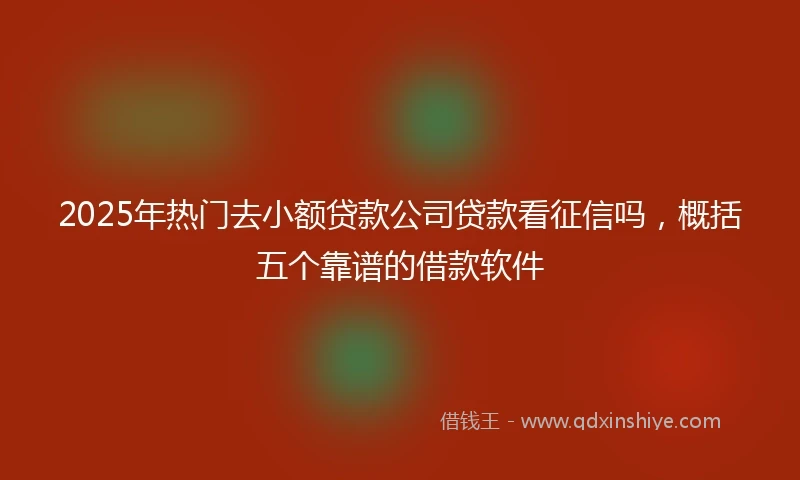 2025年热门去小额贷款公司贷款看征信吗，概括五个靠谱的借款软件
