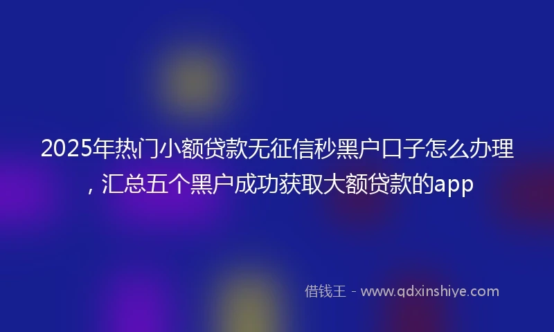 2025年热门小额贷款无征信秒黑户口子怎么办理，汇总五个黑户成功获取大额贷款的app