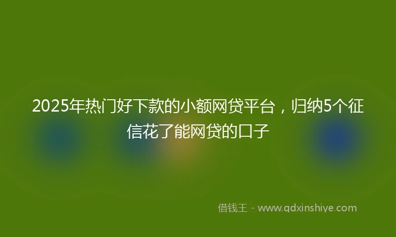 2025年热门好下款的小额网贷平台，归纳5个征信花了能网贷的口子