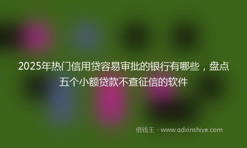 2025年热门信用贷容易审批的银行有哪些，盘点五个小额贷款不查征信的软件