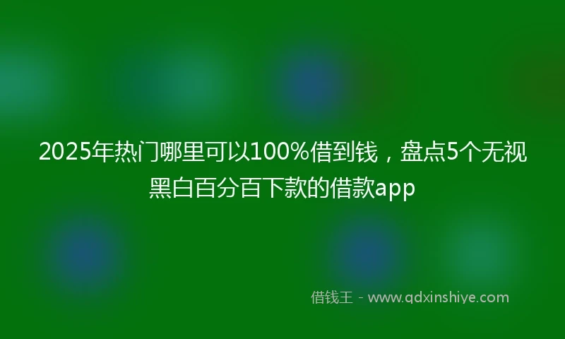 2025年热门哪里可以100%借到钱，盘点5个无视黑白百分百下款的借款app