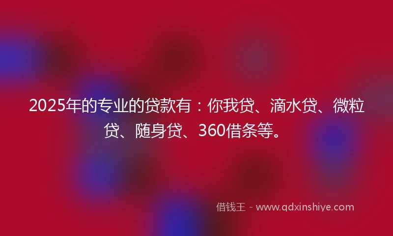 2025年的专业的贷款有：你我贷、滴水贷、微粒贷、随身贷、360借条等。
