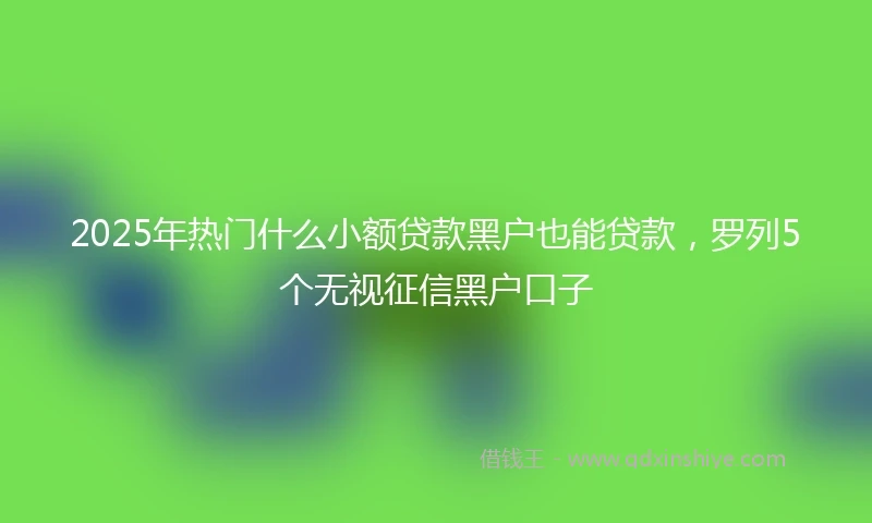 2025年热门什么小额贷款黑户也能贷款，罗列5个无视征信黑户口子