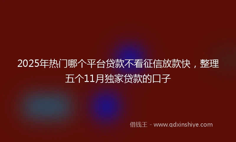 2025年热门哪个平台贷款不看征信放款快，整理五个11月独家贷款的口子