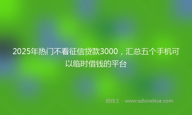 2025年热门不看征信贷款3000，汇总五个手机可以临时借钱的平台