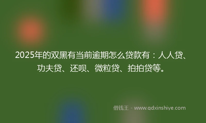 2025年的双黑有当前逾期怎么贷款有：人人贷、功夫贷、还呗、微粒贷、拍拍贷等。