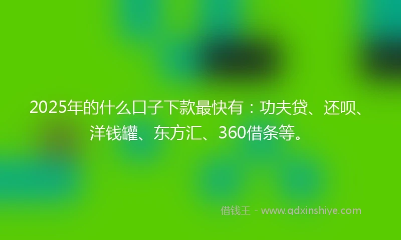 2025年的什么口子下款最快有：功夫贷、还呗、洋钱罐、东方汇、360借条等。
