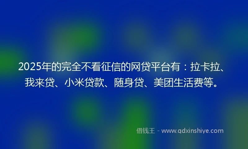 2025年的完全不看征信的网贷平台有：拉卡拉、我来贷、小米贷款、随身贷、美团生活费等。