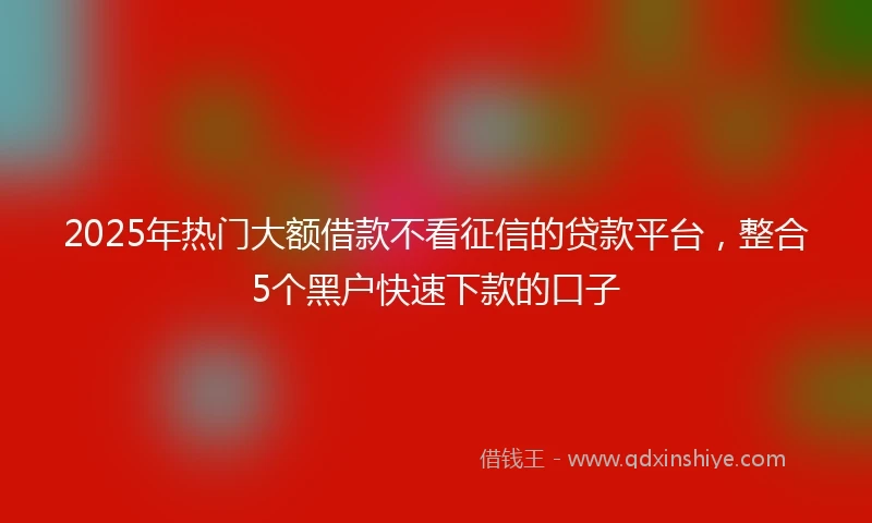 2025年热门大额借款不看征信的贷款平台，整合5个黑户快速下款的口子