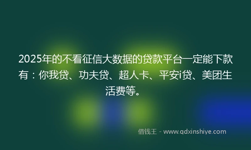 2025年的不看征信大数据的贷款平台一定能下款有：你我贷、功夫贷、超人卡、平安i贷、美团生活费等。