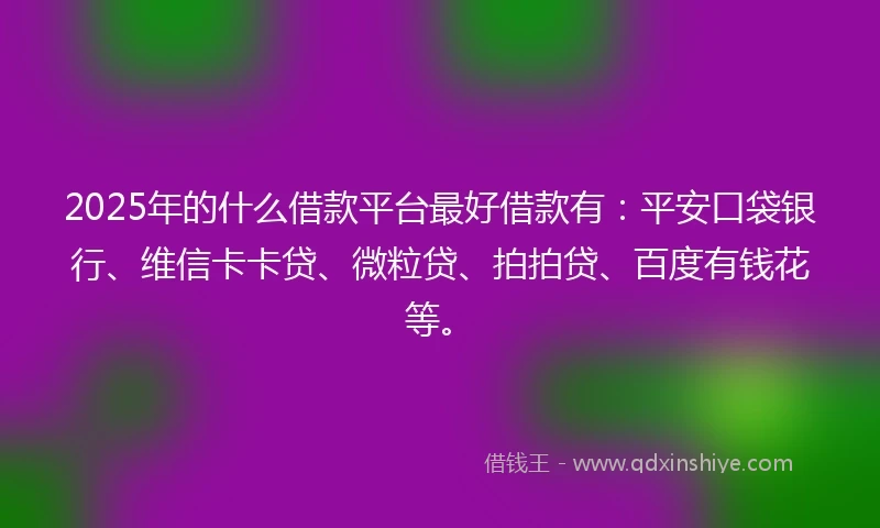 2025年的什么借款平台最好借款有：平安口袋银行、维信卡卡贷、微粒贷、拍拍贷、百度有钱花等。
