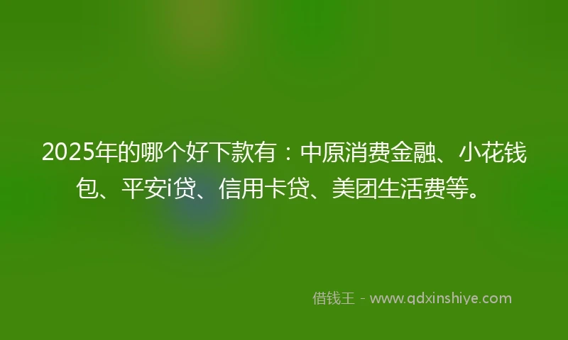 2025年的哪个好下款有：中原消费金融、小花钱包、平安i贷、信用卡贷、美团生活费等。