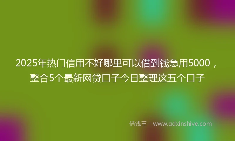 2025年热门信用不好哪里可以借到钱急用5000，整合5个最新网贷口子今日整理这五个口子