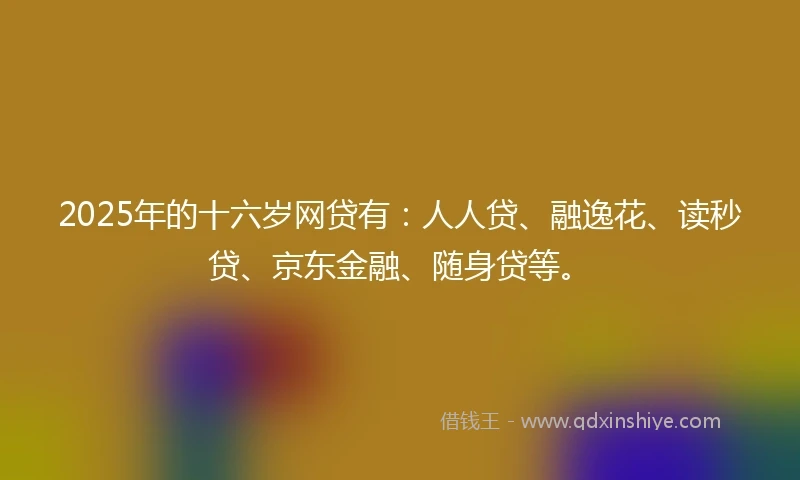 2025年的十六岁网贷有：人人贷、融逸花、读秒贷、京东金融、随身贷等。