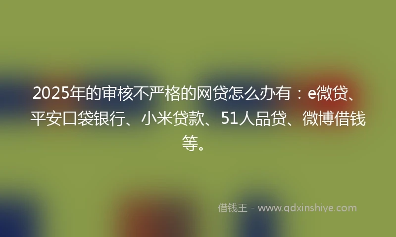 2025年的审核不严格的网贷怎么办有：e微贷、平安口袋银行、小米贷款、51人品贷、微博借钱等。