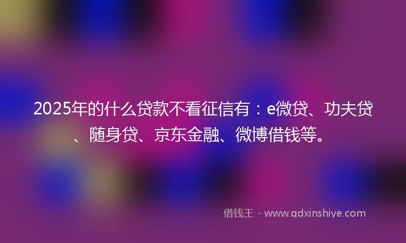 2025年的什么贷款不看征信有：e微贷、功夫贷、随身贷、京东金融、微博借钱等。