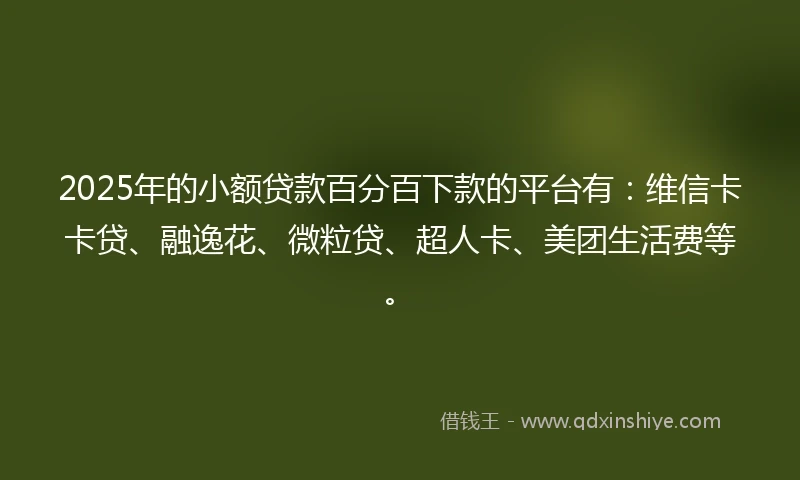 2025年的小额贷款百分百下款的平台有：维信卡卡贷、融逸花、微粒贷、超人卡、美团生活费等。