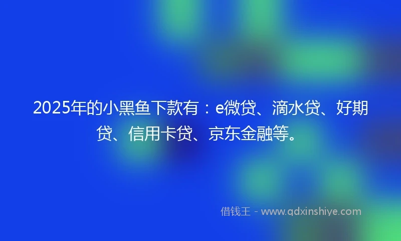 2025年的小黑鱼下款有：e微贷、滴水贷、好期贷、信用卡贷、京东金融等。