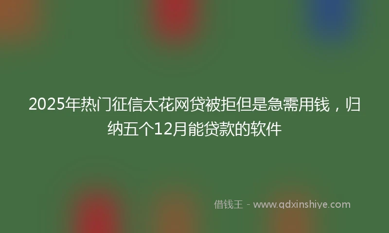 2025年热门征信太花网贷被拒但是急需用钱，归纳五个12月能贷款的软件