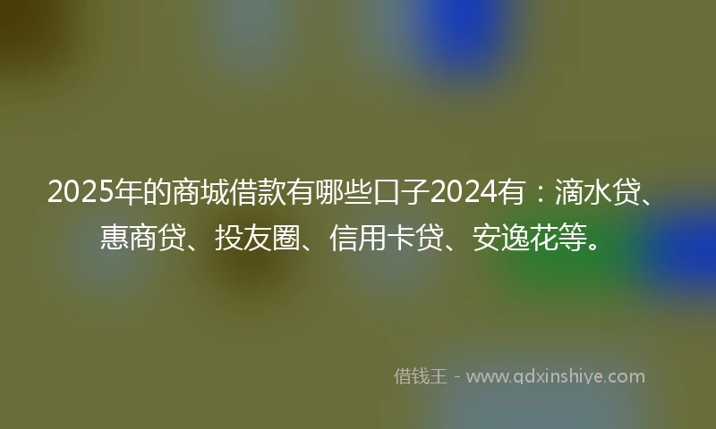 2025年的商城借款有哪些口子2024有：滴水贷、惠商贷、投友圈、信用卡贷、安逸花等。