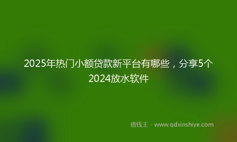 2025年热门小额贷款新平台有哪些，分享5个2024放水软件