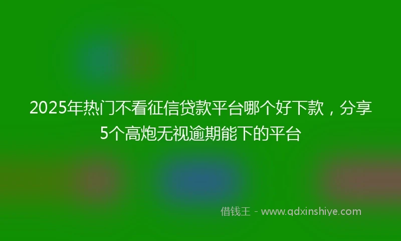 2025年热门不看征信贷款平台哪个好下款，分享5个高炮无视逾期能下的平台