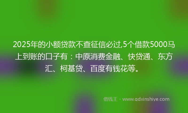 2025年的小额贷款不查征信必过,5个借款5000马上到账的口子有：中原消费金融、快贷通、东方汇、柯基贷、百度有钱花等。