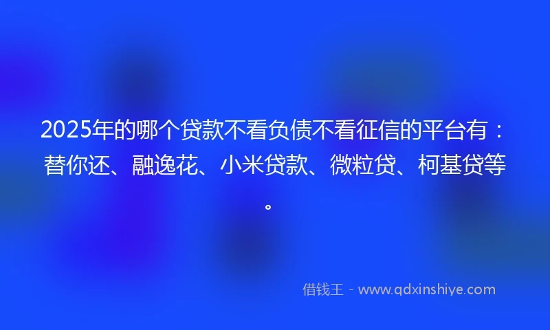 2025年的哪个贷款不看负债不看征信的平台有：替你还、融逸花、小米贷款、微粒贷、柯基贷等。