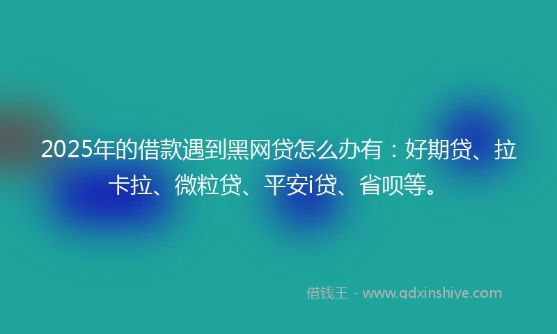2025年的借款遇到黑网贷怎么办有：好期贷、拉卡拉、微粒贷、平安i贷、省呗等。