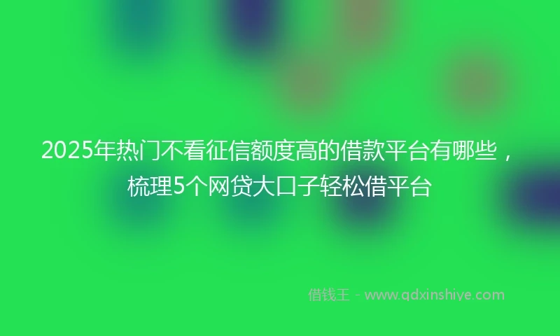 2025年热门不看征信额度高的借款平台有哪些，梳理5个网贷大口子轻松借平台