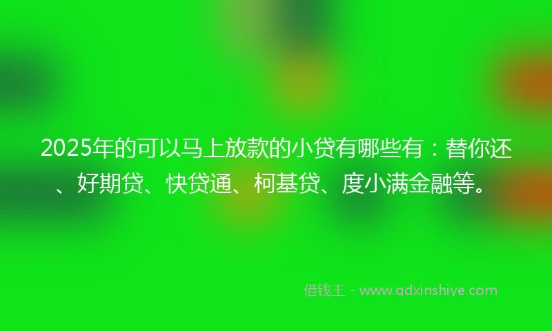 2025年的可以马上放款的小贷有哪些有：替你还、好期贷、快贷通、柯基贷、度小满金融等。