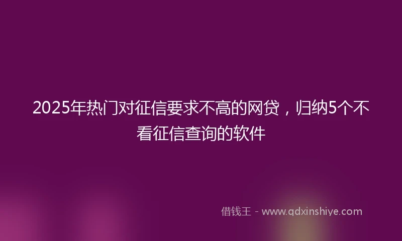 2025年热门对征信要求不高的网贷，归纳5个不看征信查询的软件