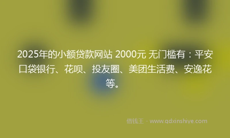 2025年的小额贷款网站 2000元 无门槛有：平安口袋银行、花呗、投友圈、美团生活费、安逸花等。