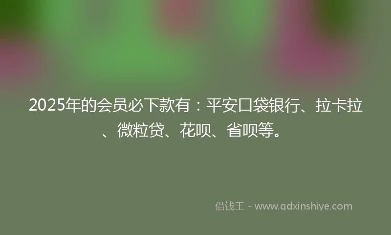 2025年的会员必下款有：平安口袋银行、拉卡拉、微粒贷、花呗、省呗等。