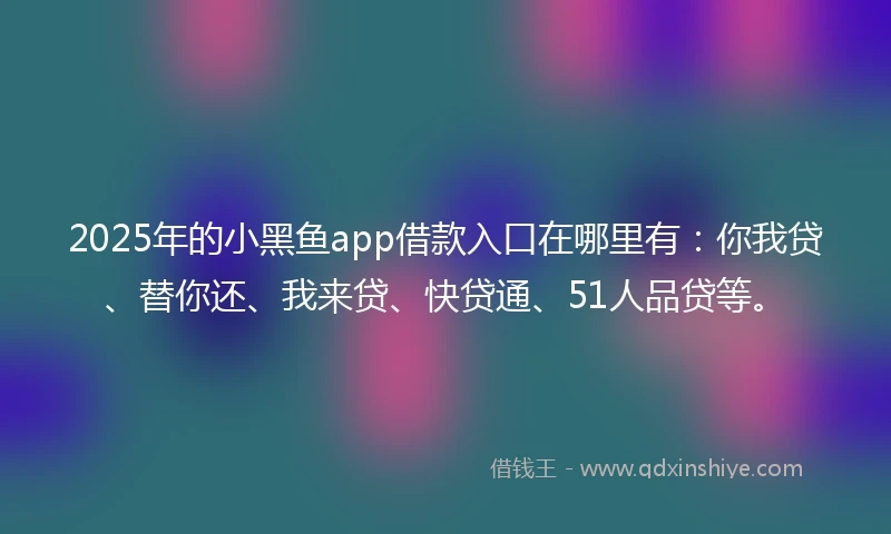 2025年的小黑鱼app借款入口在哪里有：你我贷、替你还、我来贷、快贷通、51人品贷等。