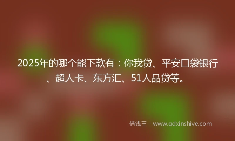 2025年的哪个能下款有：你我贷、平安口袋银行、超人卡、东方汇、51人品贷等。