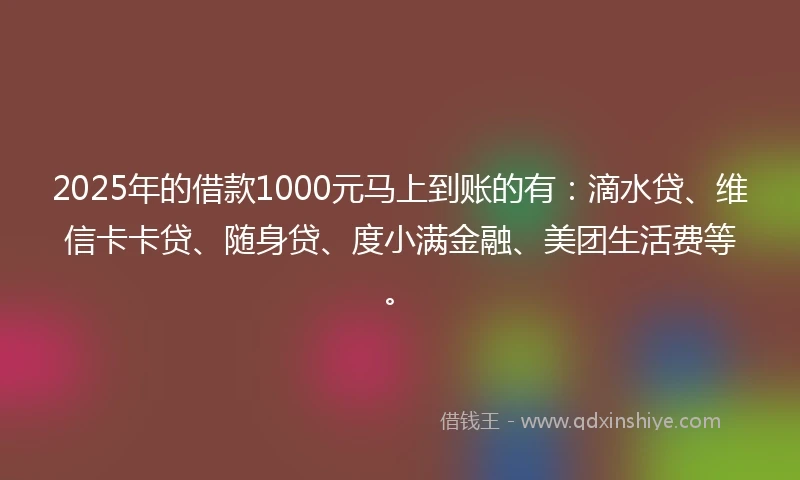 2025年的借款1000元马上到账的有：滴水贷、维信卡卡贷、随身贷、度小满金融、美团生活费等。