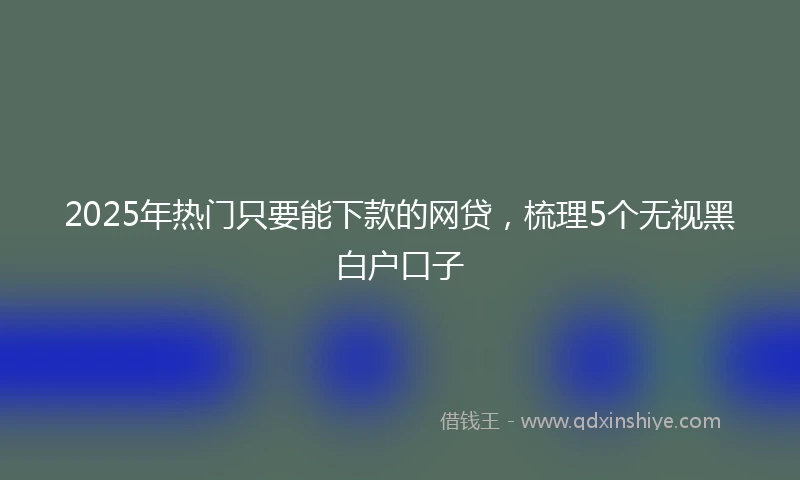 2025年热门只要能下款的网贷，梳理5个无视黑白户口子