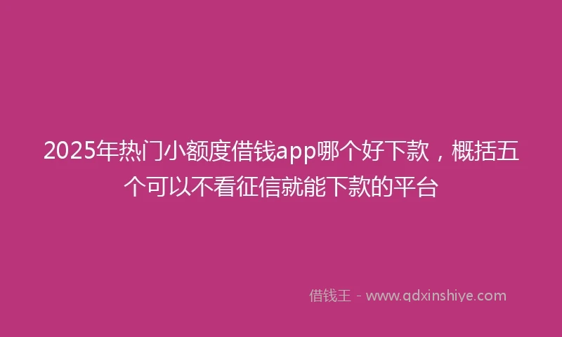 2025年热门小额度借钱app哪个好下款，概括五个可以不看征信就能下款的平台