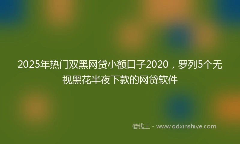 2025年热门双黑网贷小额口子2020，罗列5个无视黑花半夜下款的网贷软件