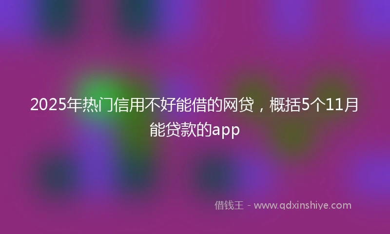2025年热门信用不好能借的网贷，概括5个11月能贷款的app