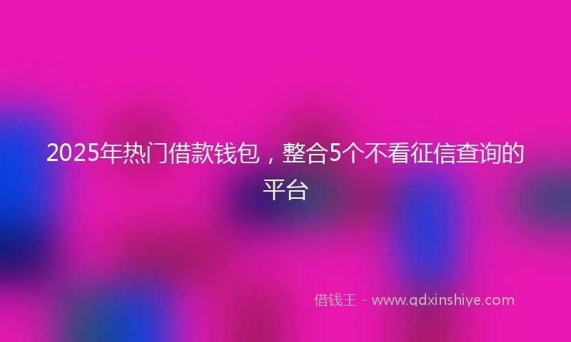 2025年热门借款钱包，整合5个不看征信查询的平台